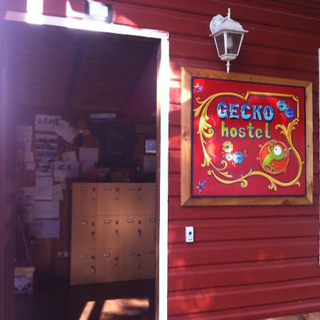 Gecko Hostel Pucon Exterior photo